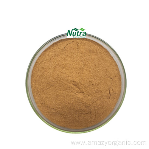 High Quality Black Seed Extract powder Thymoquinone